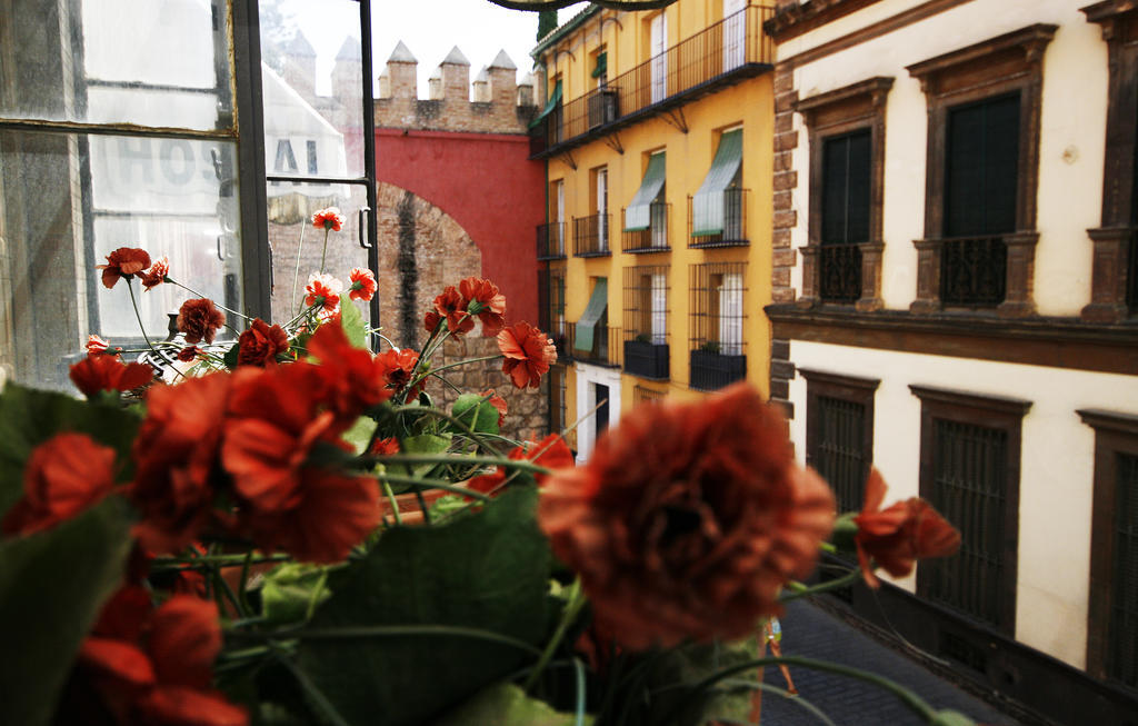 Hostal Van Gogh Sevilla Exteriör bild